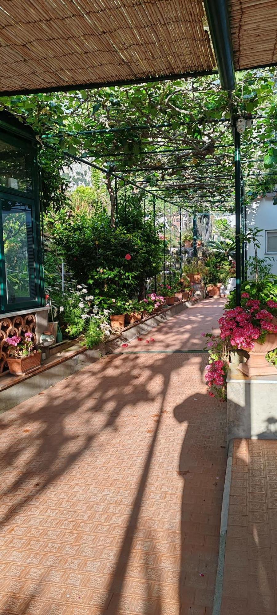 Villa Dei Fiori B&B Капрі Екстер'єр фото