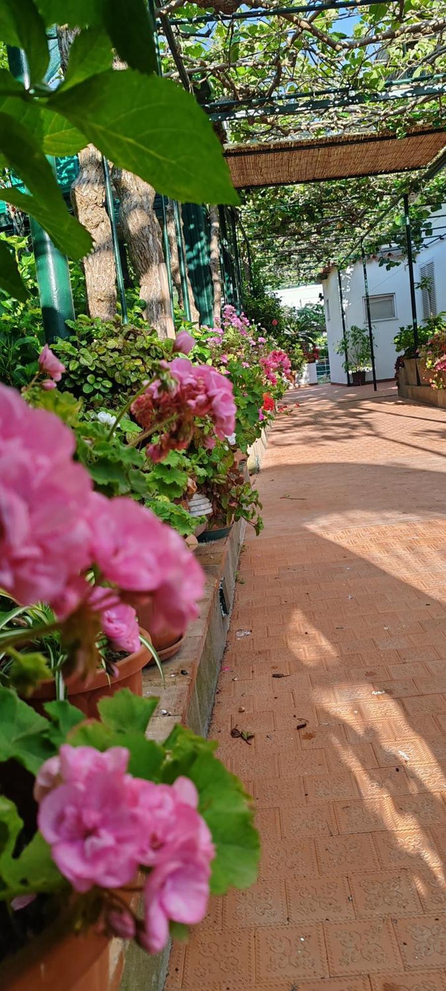 Villa Dei Fiori B&B Капрі Екстер'єр фото